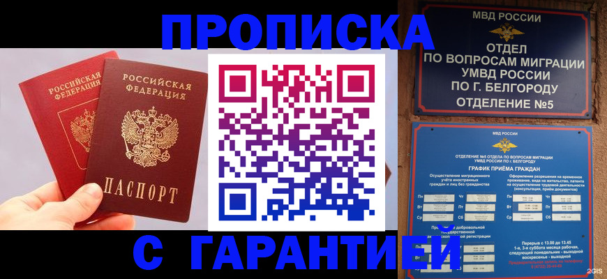 прописка 2025 в Элисте